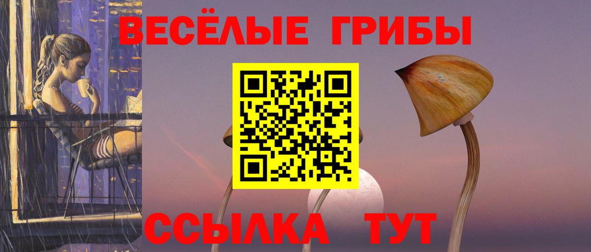 Ростов Великий  Псилоцибиновые грибы GOLDEN TEACHER  Вход с VPN 
