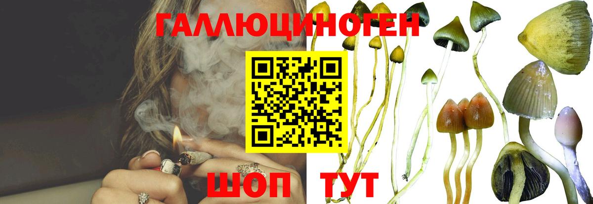 Галлюциногенные грибы ЛСД Ростов Великий